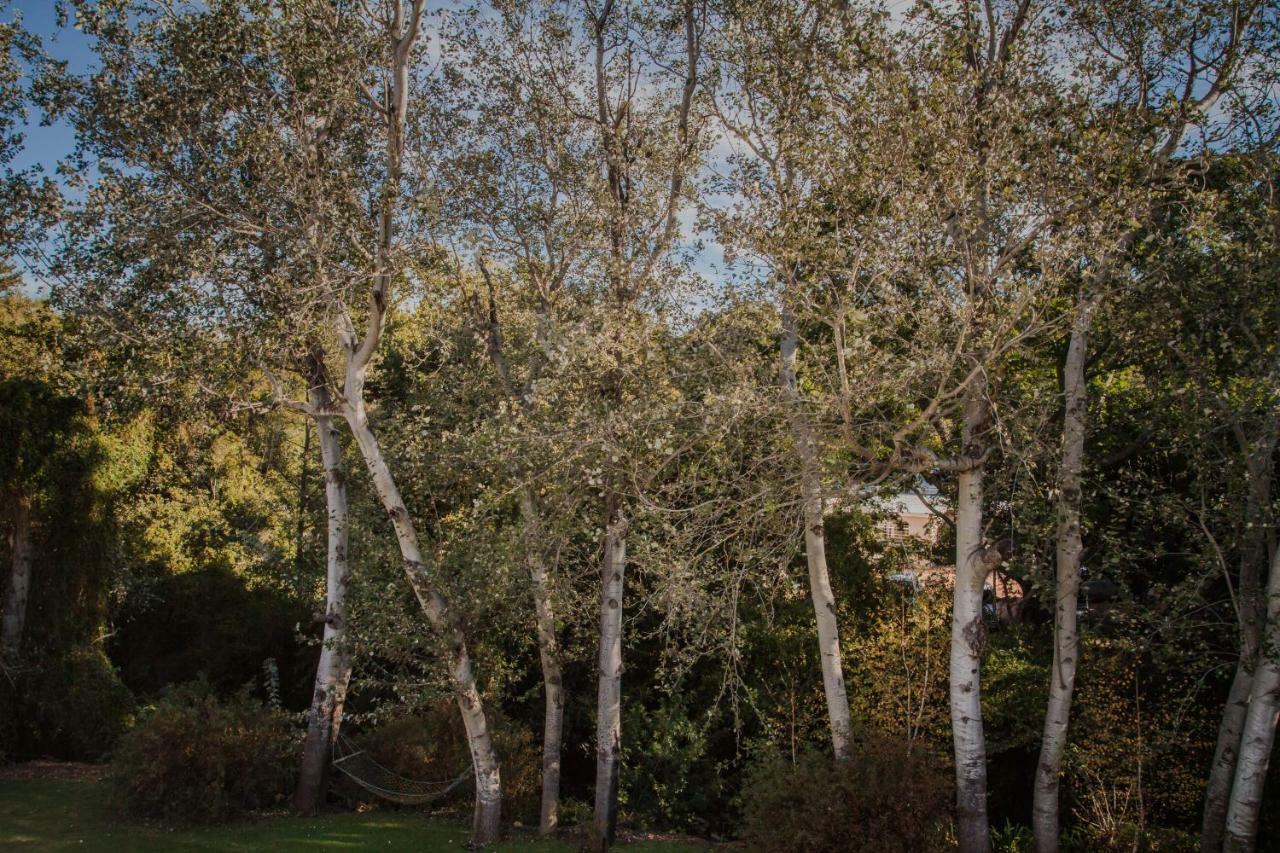 Moffid'S Place Swellendam Εξωτερικό φωτογραφία