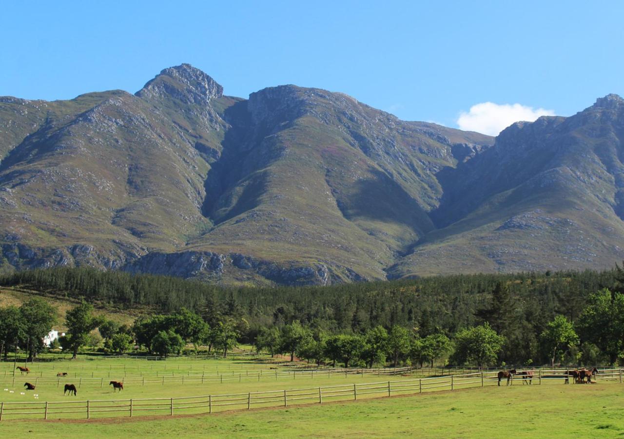 Moffid'S Place Swellendam Εξωτερικό φωτογραφία